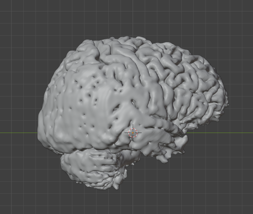 side view of brain in Blender