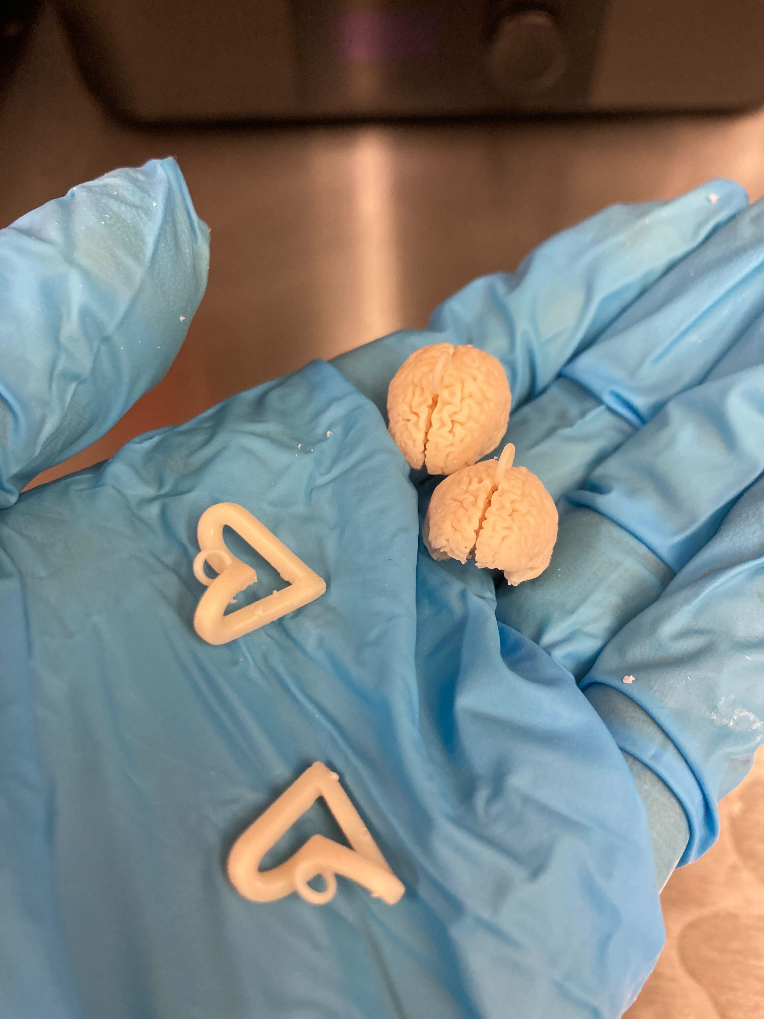 brain print with supports removed
