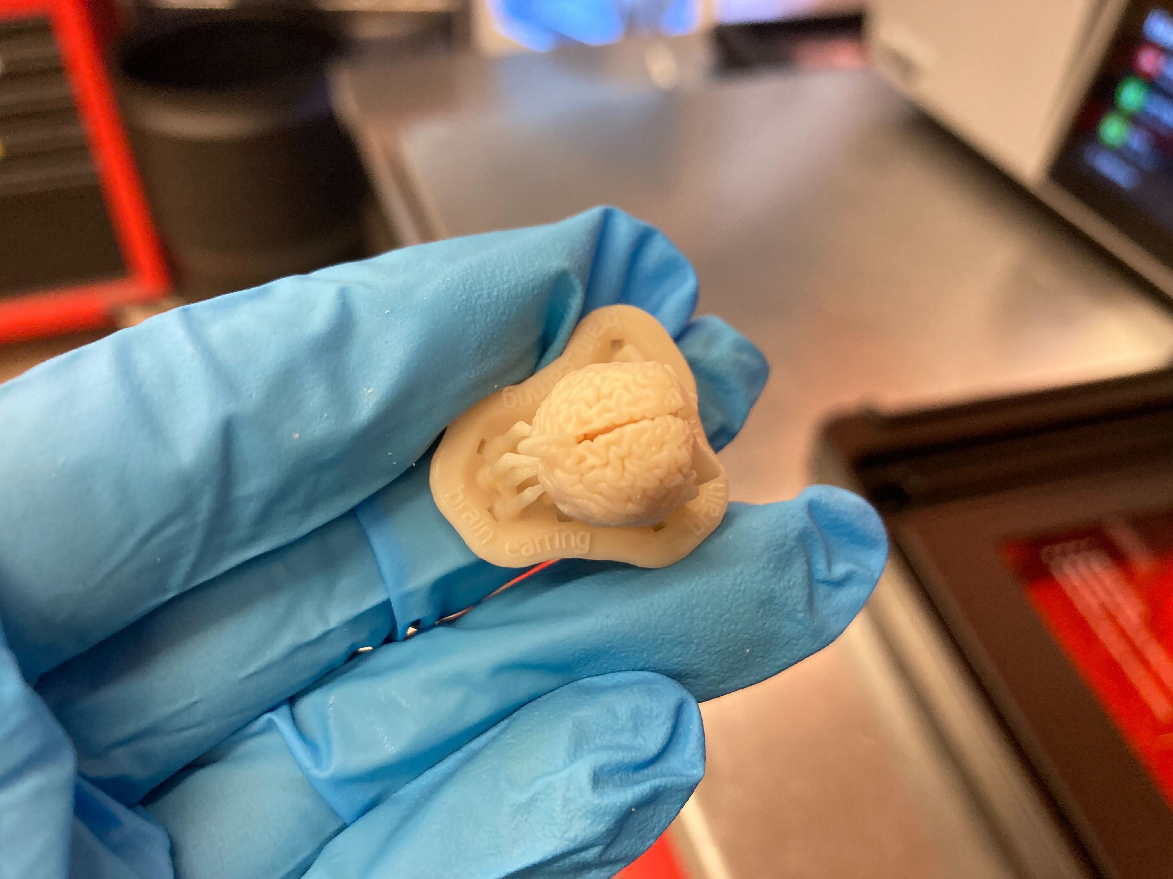 brain print with supports