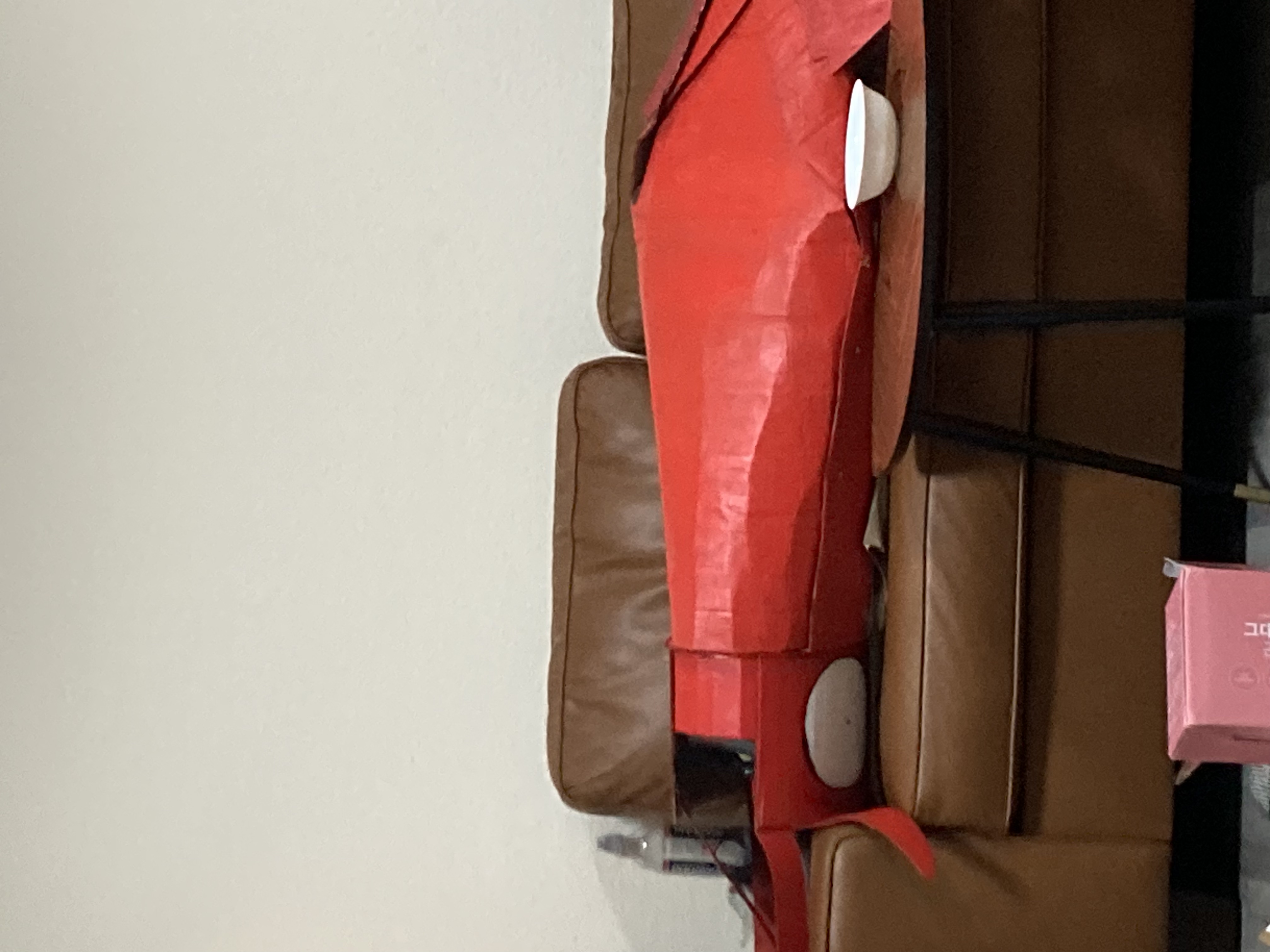 squid resting after a long night